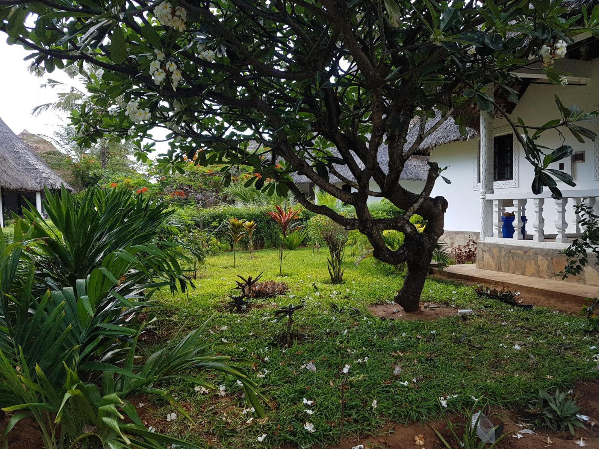 Karibuni Jeds Villas 85 & 86 Mambrui Exterior foto